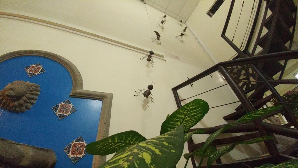 Hotel Armonia Hostal ซานซัลวาดอร์ ภายนอก รูปภาพ