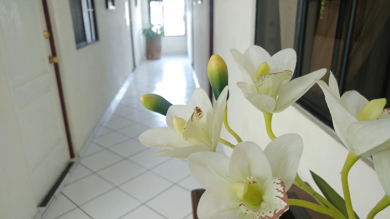 Hotel Armonia Hostal ซานซัลวาดอร์ ภายนอก รูปภาพ